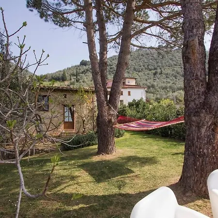 Le Vigne Del Grillo *