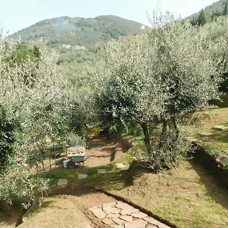 Le Vigne Del Grillo * Camaiore