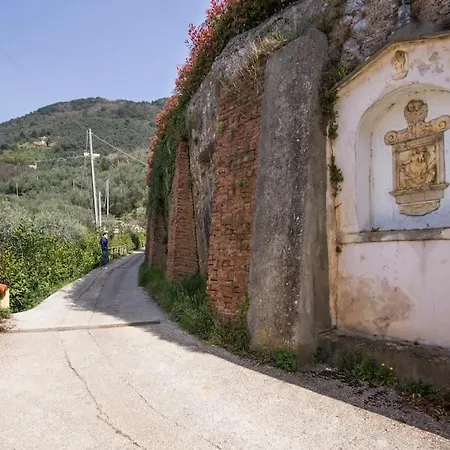 Le Vigne Del Grillo Camaiore