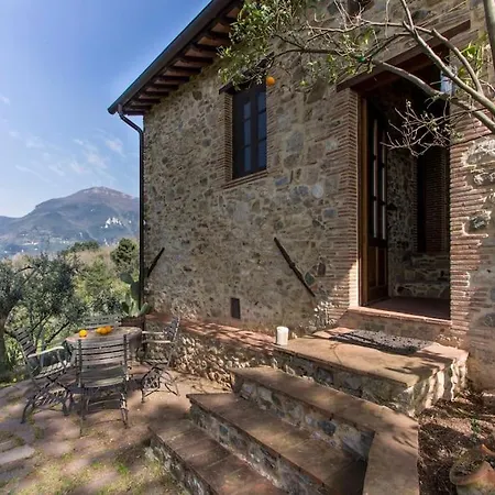 Le Vigne Del Grillo * Camaiore