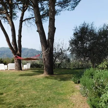 木屋 Le Vigne Del Grillo *