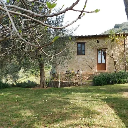 Le Vigne Del Grillo * Camaiore