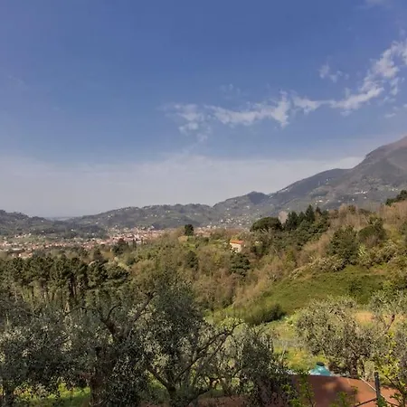 Le Vigne Del Grillo *